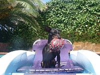 Akilles with ball and water, his favourites