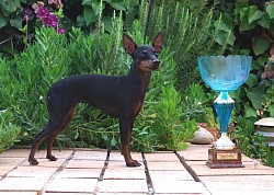 Texas with her trophy from Belgium