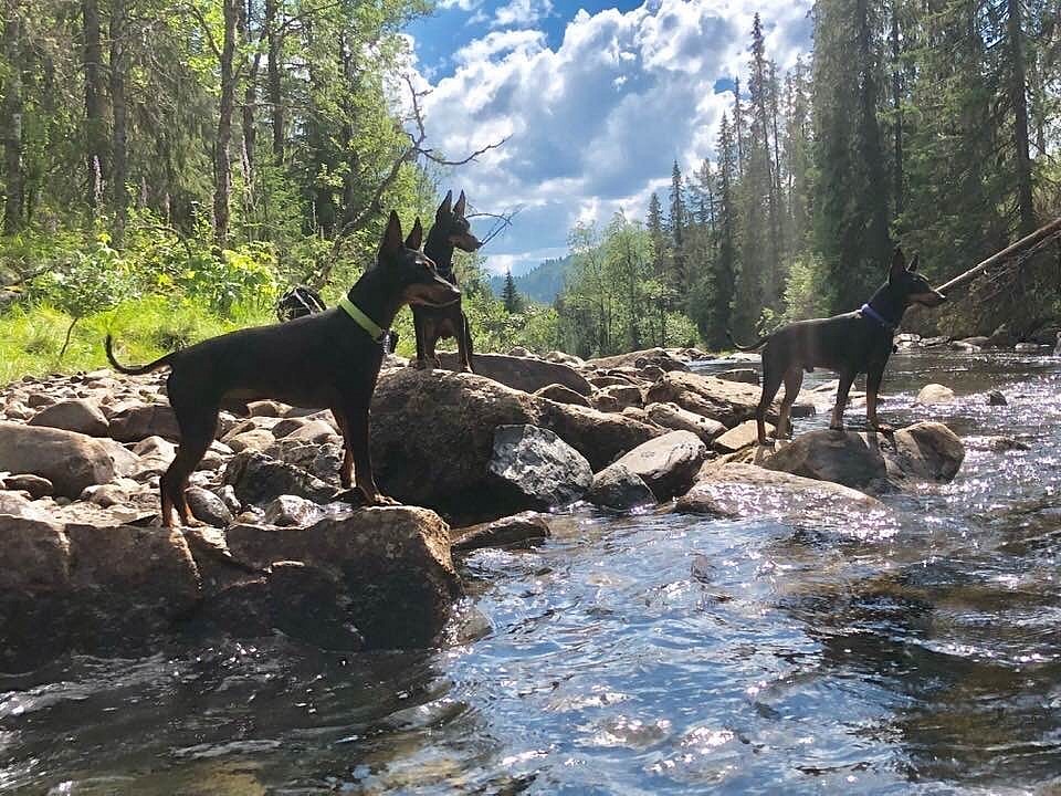 By the river