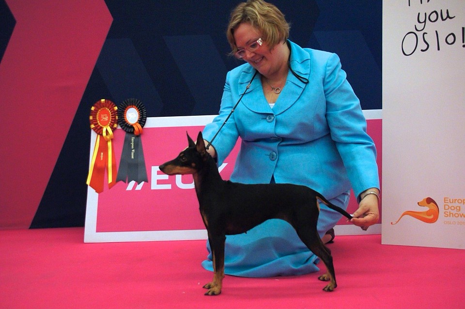 Pheonix and Amanda, BOB at the European Winner show 2015